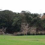 Yacimiento de Mataleñas