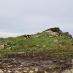 Cueva del Cerro del Uro II