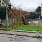 Yacimiento de Corte de la carretera de San Román